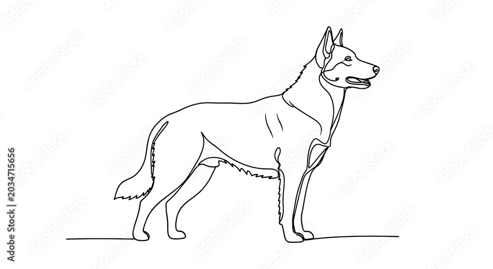 Fototapeta premium Dog line drawing