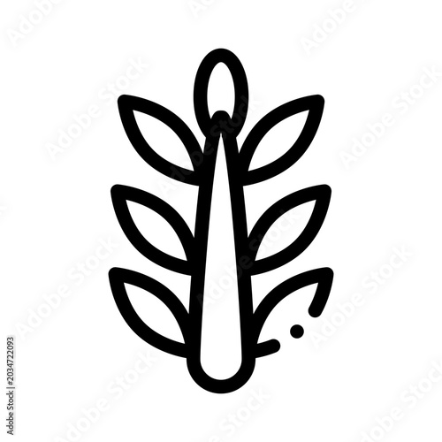 Bild auf Leinwand tarragon line icon