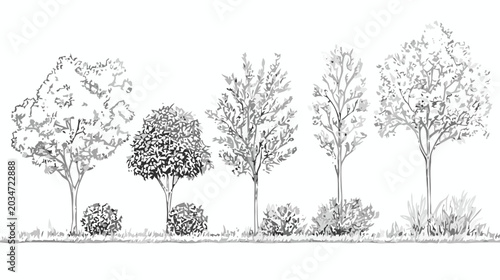 Set of sketch trees and shrubs for architectural landscaping plans