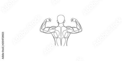 Photos Anatomical illustration of a muscular man from the back with flexed arms showing