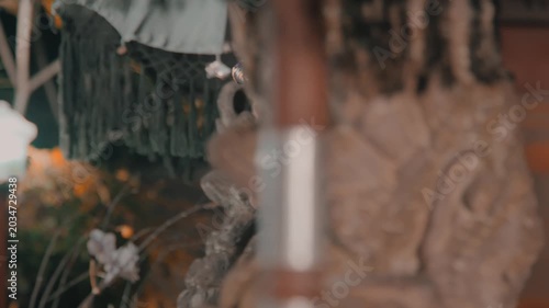 Artistic Shot of Man Through Temple Decor