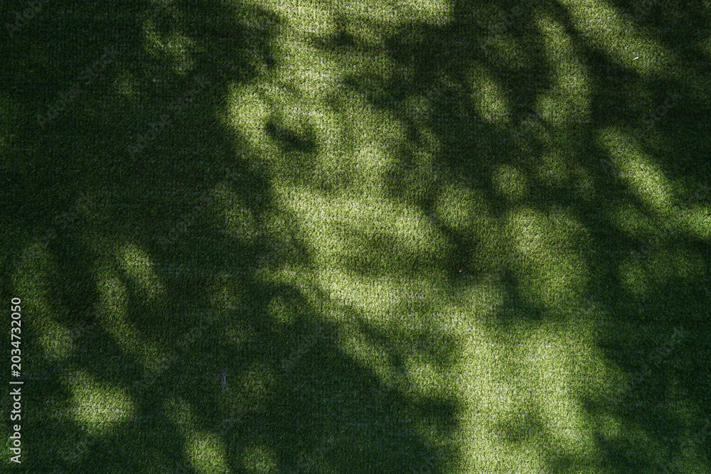 Photography Artificial grass lawn turf with tree shadow under sunlight