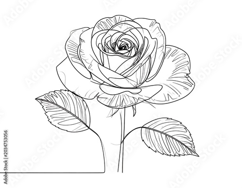 Black and white line drawing of a blooming rose with detailed petals and leaves. The illustration is on a plain white background