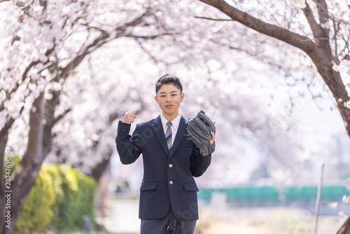 満開の桜の下でグローブを付けた男子高校生