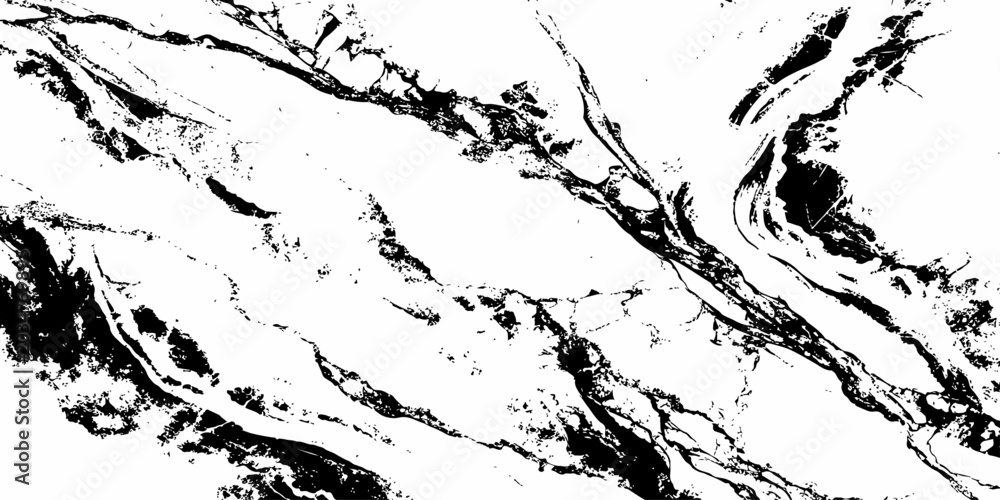 Obraz premium Premium Abstract Marble Texture Background with Bold Black and White Stone Vein Design.