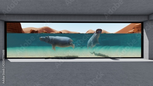 Quadro su tela 動物園のカバ 水中を泳いだりのんびり過ごすカバ　3DCGイラスト