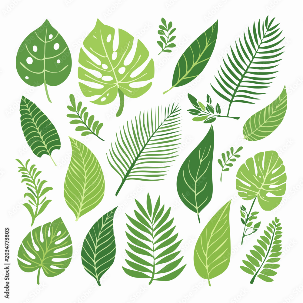 Fototapeta premium Collection of Green Tropical Leaves