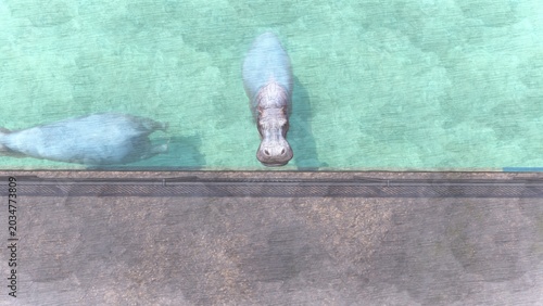 Quadro su tela 動物園のカバ 水中を泳いだりのんびり過ごすカバ　3DCGイラスト