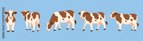 Brown and White Cow Vector Character Set in Multiple Poses and Angles