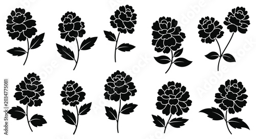 Adobe Illustrator Artwork