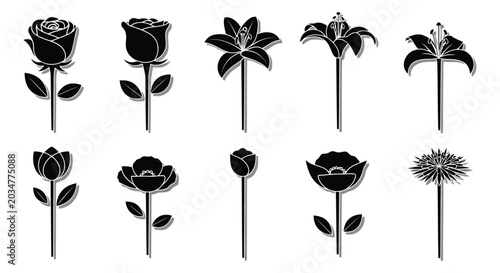 Adobe Illustrator Artwork