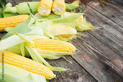 Valokuva Maize. Fresh Corn on old wooden table