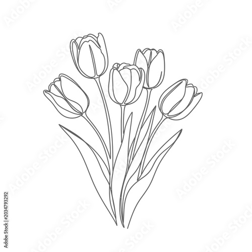 Elegant Tulip Line Art Illustration - Vector Drawing of Flowers