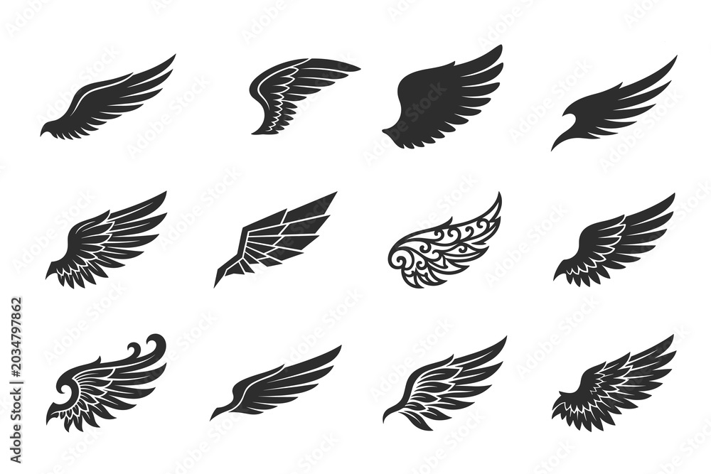 Fototapeta premium Decorative Wing Silhouette Collection with Angel and Bird Feather Elements for Tattoo Graphic Design Projects