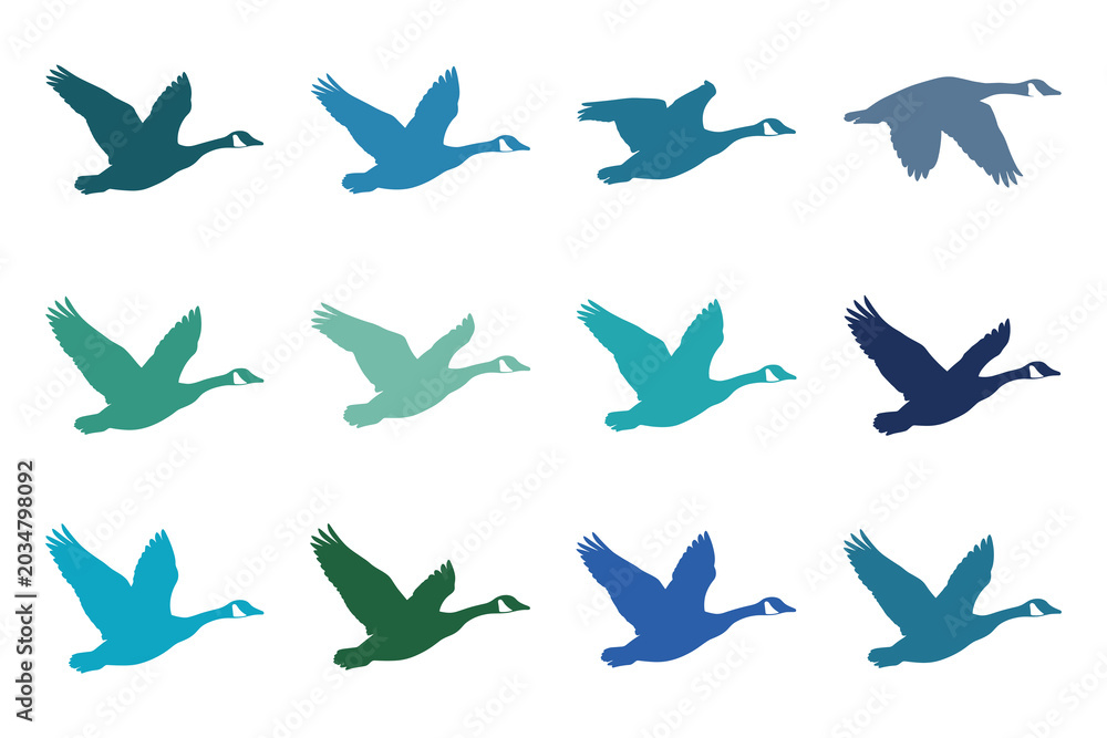 Fototapeta premium Flying Goose Silhouette Collection with Migratory Bird Wildlife Elements for Nature and Graphic Design Projects