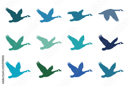 Quadro su tela Flying Goose Silhouette Collection with Migratory Bird Wildlife Elements for Nat