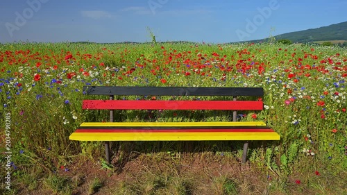 Sitzbank in den Farben der deutschen Flagge vor einem Blumenfeld mit Schlafmohn (Papaver somniferum), und Klatschmohn (Papaver rhoeas), Sommer, Germerode, Geo Naturpark Frau-Holle-Land, Hoher Meissner