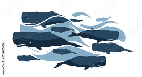 Photography Sperm Whales Swimming in Ocean Waves, Marine Life Illustration