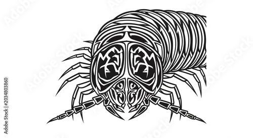 Bild auf Leinwand Tribal Millipede Tattoo Design, Insect Illustration