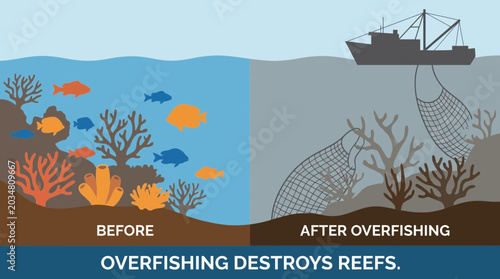 Foto Overfishing Destroying Coral Reef Ecosystem Underwater