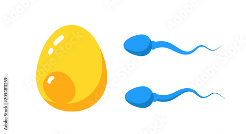 Photos Fertilization Concept: Sperm Cells Approaching Egg Cell