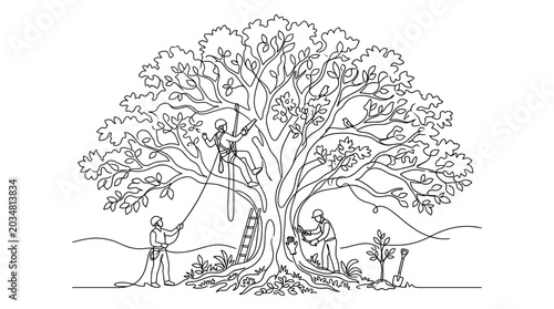 Tree Care Scene: Arborists Pruning & Maintaining a Large Tree