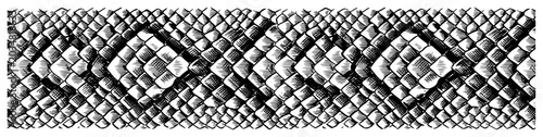Reptile scales or snake skin texture in detailed engraving style