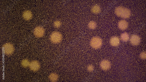 Foto Microscopic view of bacterial cells under laboratory microscope, science researc