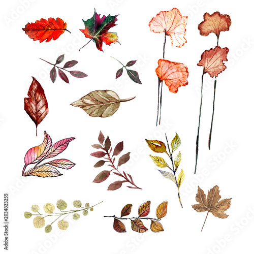 Set di foglie marroni e rosse autunnali ad acquerello, elementi di design disegnati a mano.  Elementi ad acquerello isolati su sfondo bianco