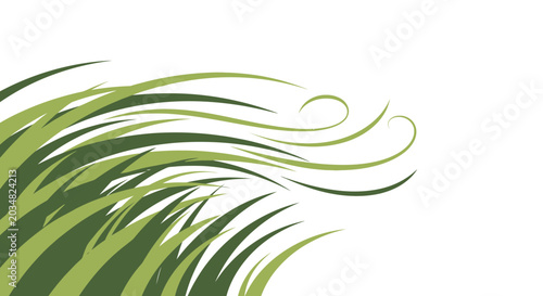 Foto Green grass blowing in the wind, abstract nature background