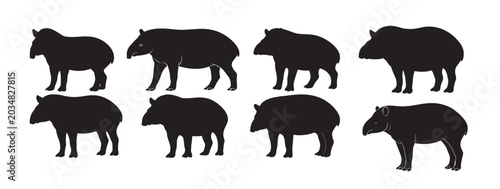 Photography tapir silhouette on white background
