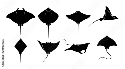 Quadro su tela Set of 8 Black Silhouette Stingray and Manta Ray Vector Illustrations, Ocean Wil