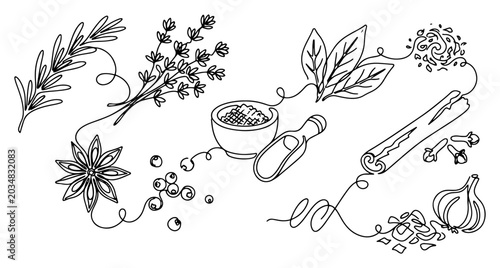 Bild auf Leinwand Kitchen spices and herbs with cinnamon star anise and garlic continuous line art