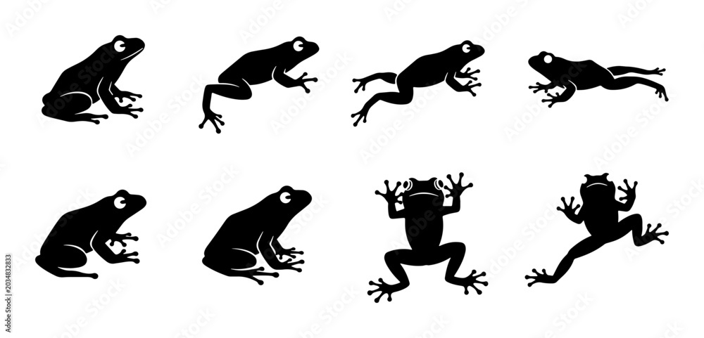 Fototapeta premium Black Frog Silhouettes, Amphibian Poses Vector Set, Jumping and Sitting Wildlife Icons, Simple Animal Graphics for Design
