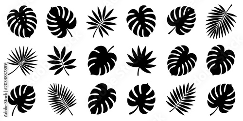 Flower silhouette icon set with tropical leaf spirals and radial fronds for summer pattern design and decoration