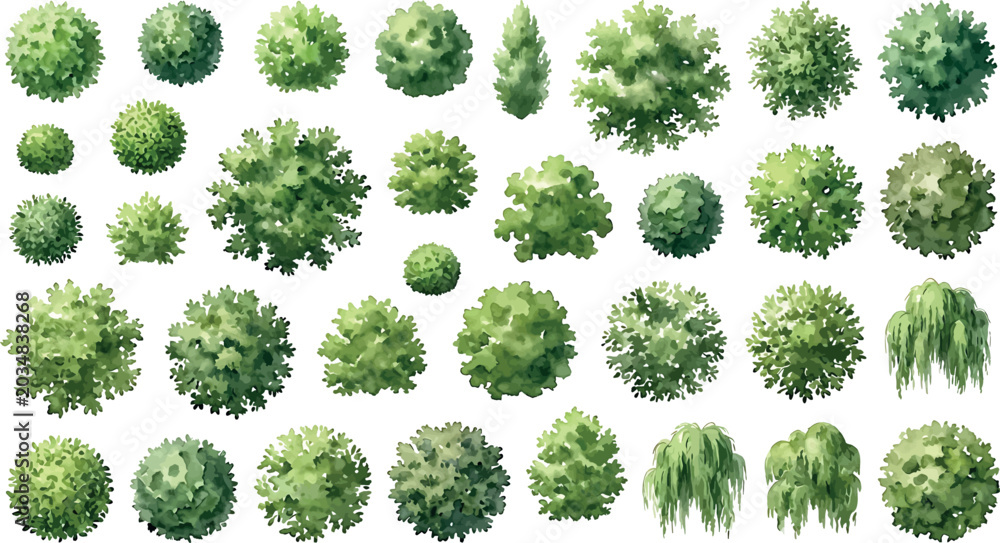 Naklejka premium Set of various watercolor trees and shrubs isolated on white background