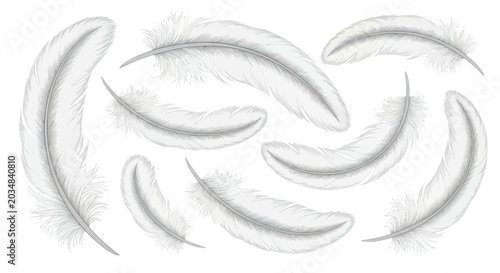 Foto Delicate White Feathers Floating Gracefully Isolated on White Background