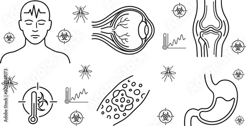 Cuadro en lienzo Medical Infectious Disease Symptoms Icon Set with Mosquito Transmission Anatomy