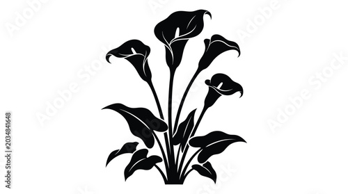 Foto Calla lily silhouette against a white background botanical illustration