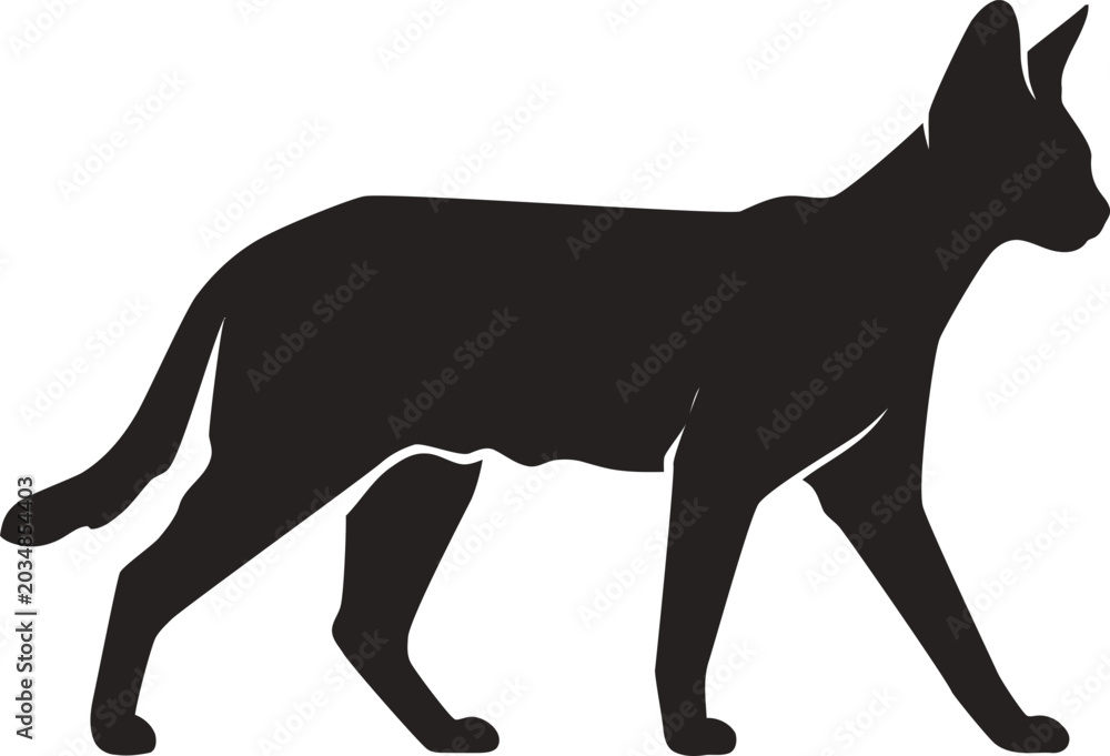 Obraz premium Black silhouette of a walking cat.