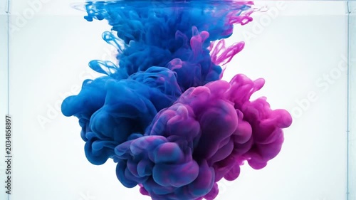 Blue and Pink Ink Swirls Underwater