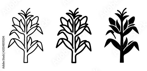 Foto Corn Stalk Icons, Maize Plant Vector Graphics, Agricultural Crop Symbols for Har