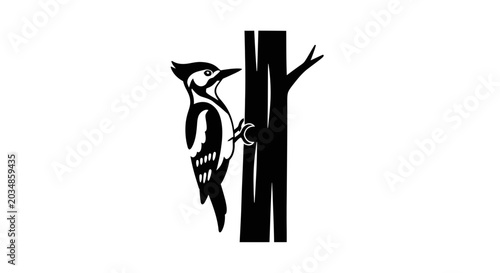 Foto Woodpecker Climbing Tree Trunk Silhouette, Vector Illustration