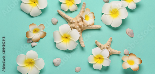Beautiful plumeria flowers ...