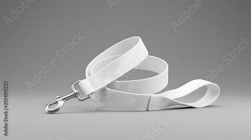 Isolated pet leash with silver metal hardware and patterned strap for dog walking and training, mockup display