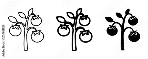 Foto Tomato Plant Icons, Simple Line Art and Silhouette Vector Graphics for Food and