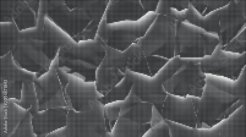Bild auf Leinwand A close-up view of cracked surface with rough texture and sharp edges