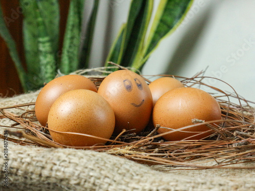 Smiling Brown Eggs in Nest with Green Plants in Background