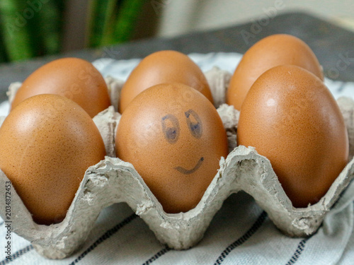 Cheerful Brown Egg with Face Drawn in Egg Carton