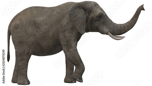 Konstfotografi elephant png, ivory, pachyderm, tusks, african elephant